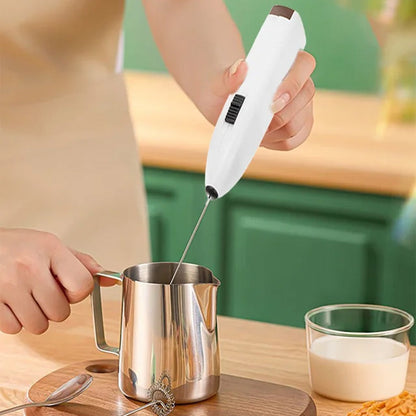 Handheld Milk Frother with Stainless Steel Whisk